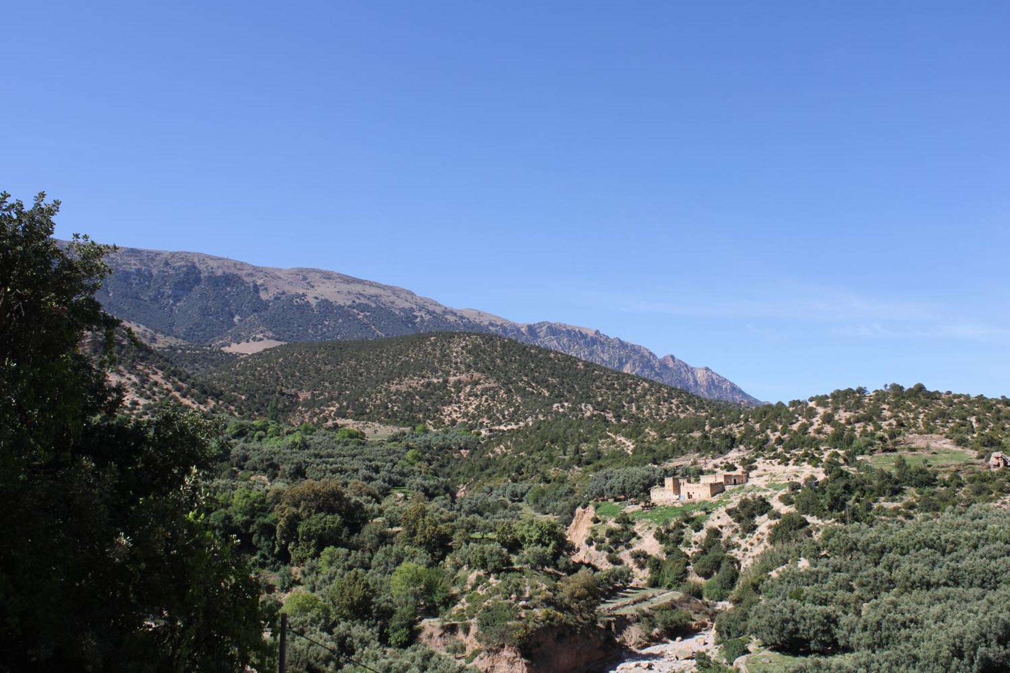 Gite Skoura Caid Bou Malla Exterior foto
